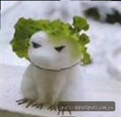 刘毅
